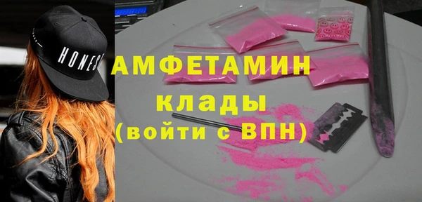 ECSTASY Горняк